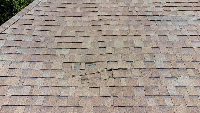 Asphalt Roof Inspection in Monsey, NY