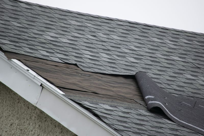 Asphalt Shingles Repair in Putnam County, NY