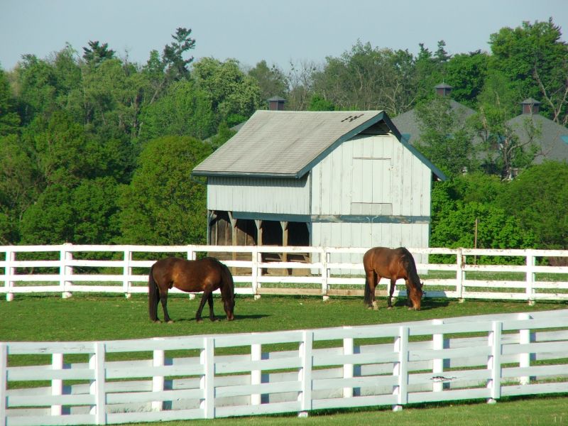 Barn Roof Construction in Nanuet, NY