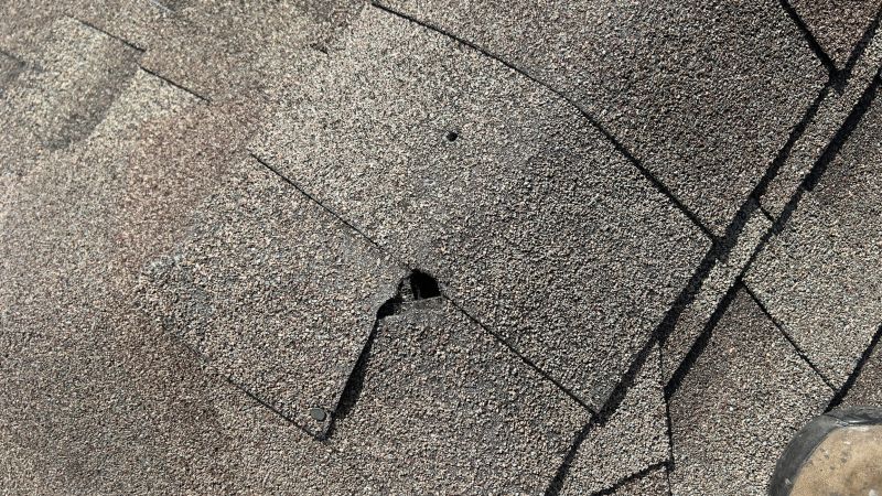 Damaged Roof Repair in Hillsdale, NJ