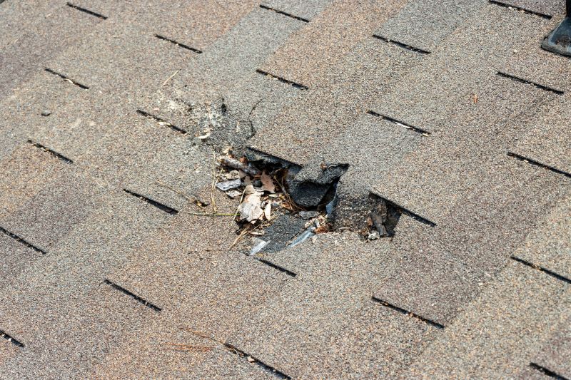 Damaged Roof Replacement in Little Falls, NJ